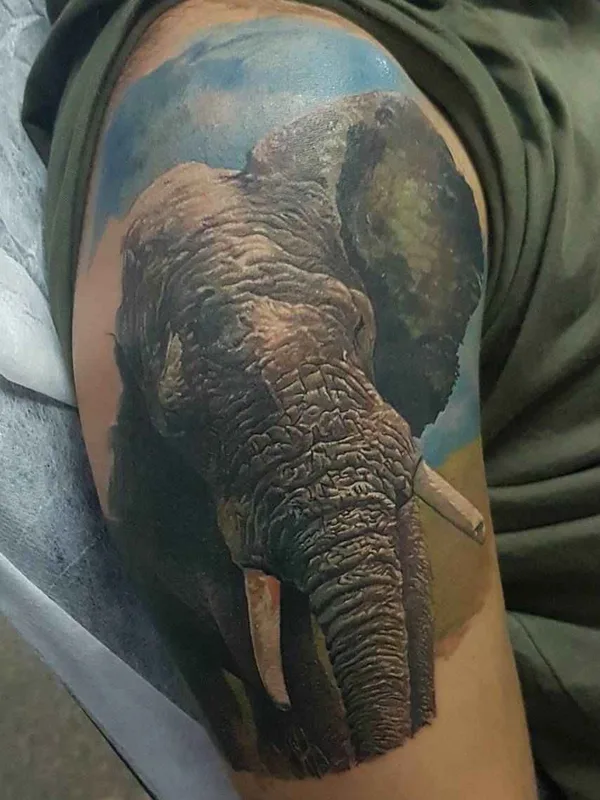 color realism Tatuaggio su upper arm #11698 | Tatuatore Led Coult