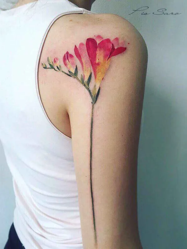 female color watercolor, botanic Tatuaggio su shoulder #15214 | Tatuatore Pis Saro