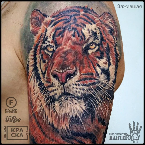Realism tattoo by Владимир ПАНТЕРА Королев in Волгоград