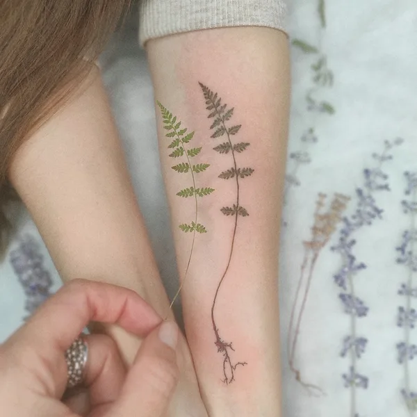 Botanical tattoo by Ксения Дармаева in Saint Petersburg