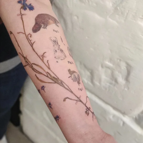 Botanical tattoo by Ксения Дармаева in Saint Petersburg