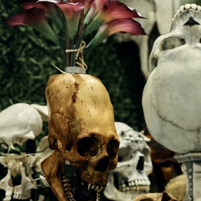 20-й Московский Фестиваль Татуировки 2023 | 16 апреля 2023