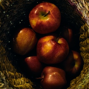 20-й Санкт-Петербургский Фестиваль Татуировки 2023 | 17 июня 2023