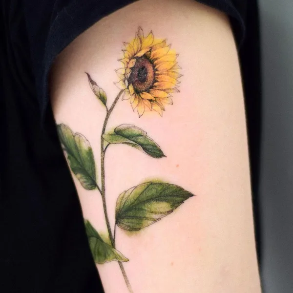 Botanical tattoo by Рита Ламбер in Нижний Новгород