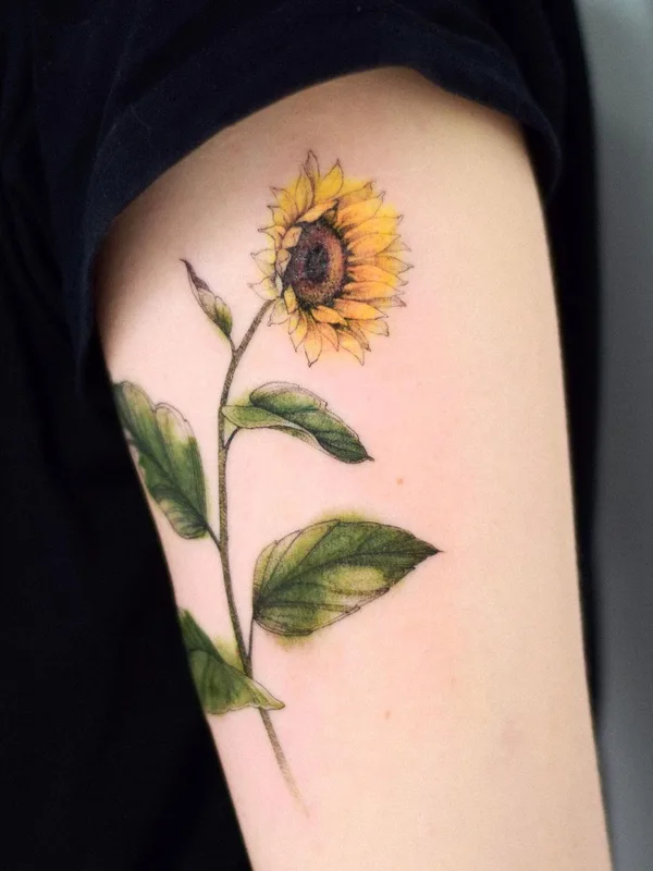 color watercolor Tatuaggio su upper arm #48855 | Tatuatore Рита Ламбер
