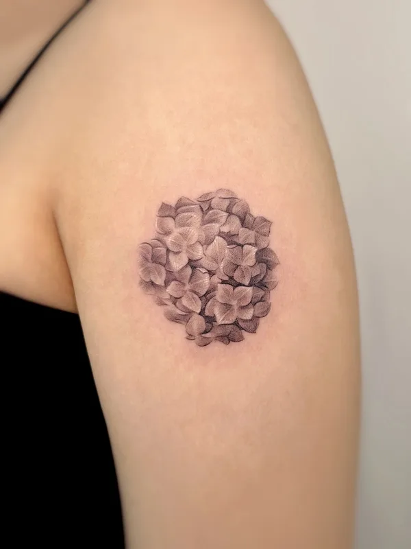 female black and grey fineline Tatuaggio su shoulder #73916 | Tatuatore Gyan