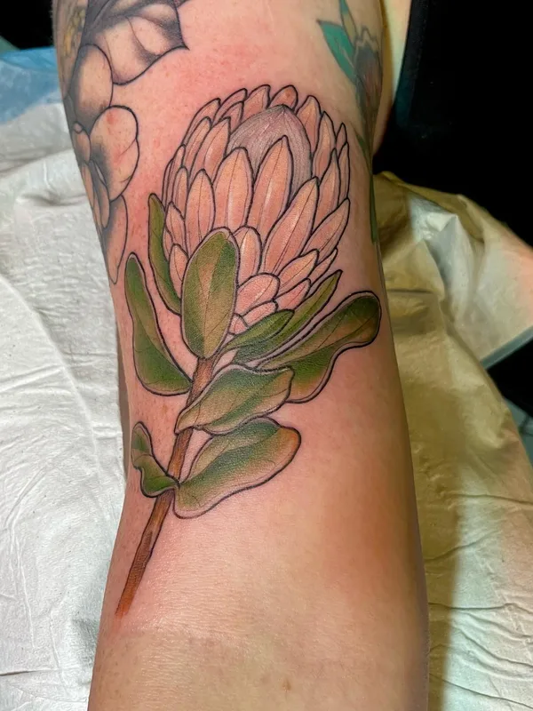 color botanic tattoo on forearm #63073 | Tattoo Artist Shaun Dean