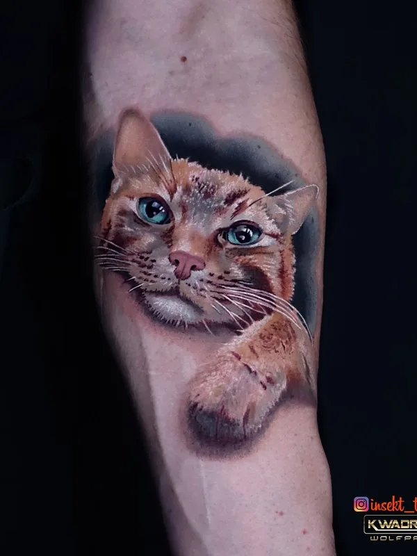 color realism татуировка на forearm #63246 | Тату мастер Marcin Insekt Polak