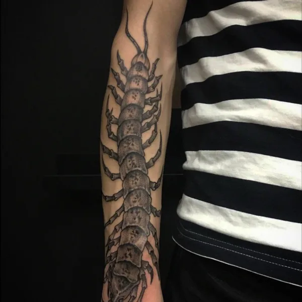 Tattoo tattoo by Дмитрий Бутченко in Нижний Новгород