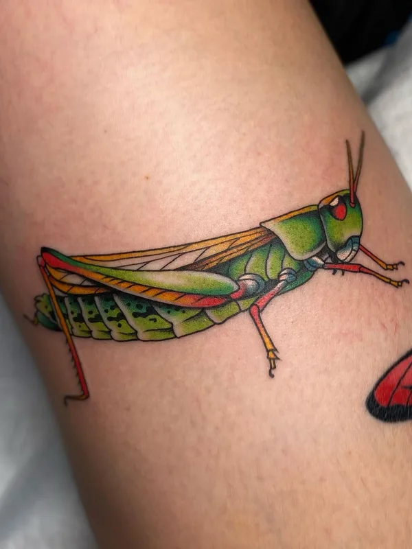 color traditional Tatuagem em forearm #57540 | Tatuador Amber Elise