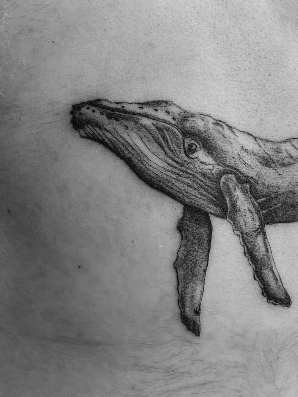 black and grey realism татуировка на stomach #59311 | Тату мастер Jenya Willow