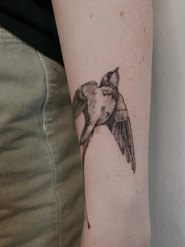 black and grey black and grey татуировка на forearm #59305 | Тату мастер Jenya Willow