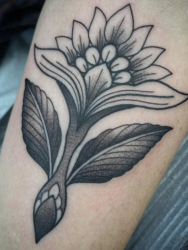 black and grey blackwork 타투 부위 forearm #57733 | 타투이스트 Megan Carroll