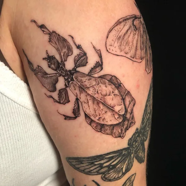 Graphic tattoo by Emily Falkowski in Rocky Hill