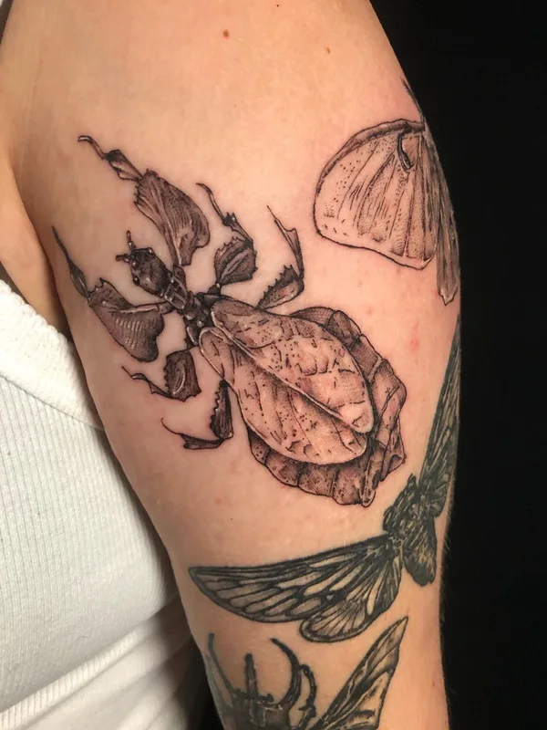 black and grey black and grey tattoo on upper arm #57745 | Tattoo Artist Emily Falkowski