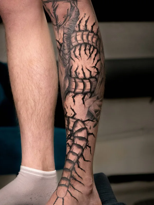 black and grey blackwork татуировка на calf #33377 | Тату мастер Elizaveta Omicheva
