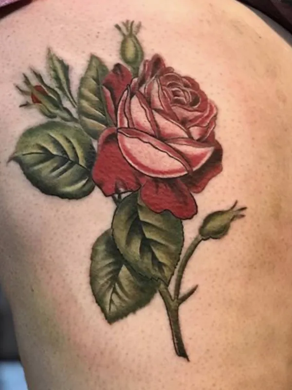 color realism 纹身 在 thigh #33424 | 纹身师 Tara Morgan