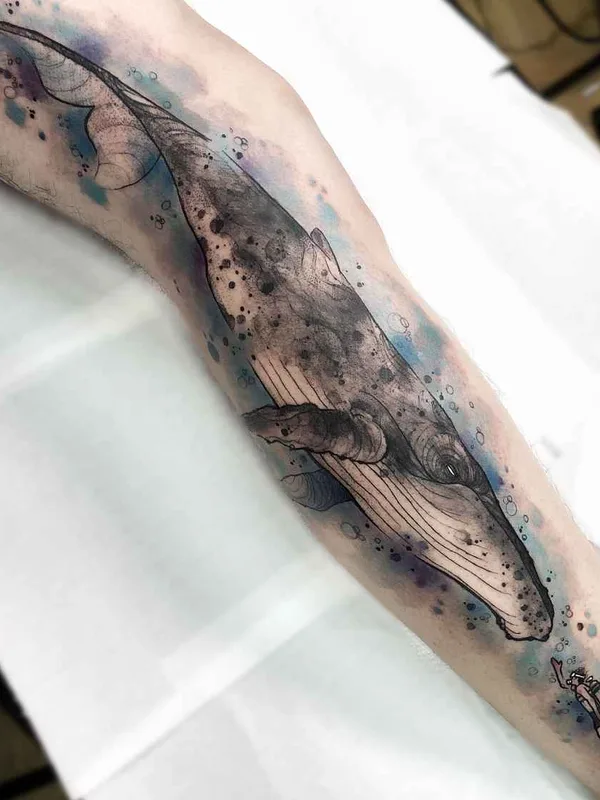 color watercolor 타투 부위 forearm #18037 | 타투이스트 Felipe Mello