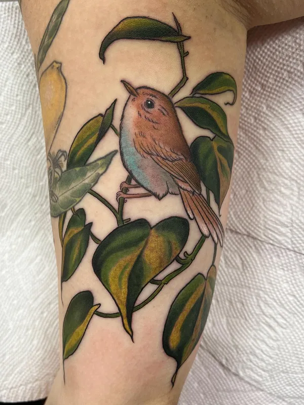female color neotraditional Tatuaggio su forearm #63700 | Tatuatore Sara Bell