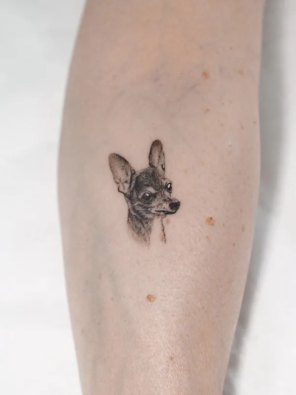 female black&gray animal, microrealism, pet tattoo on leg #63856 | Tattoo Artist Анна Селезнева
