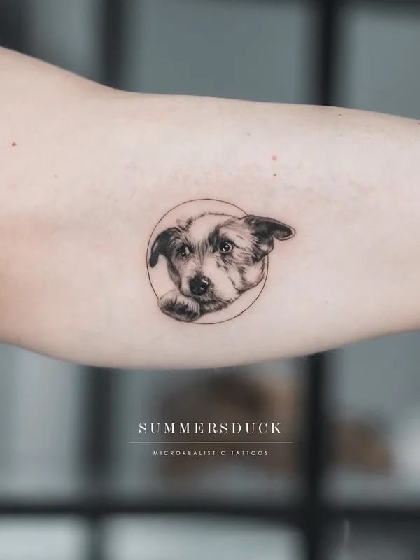 female black&gray animal, microrealism, pet tattoo on shoulder #63855 | Tattoo Artist Анна Селезнева