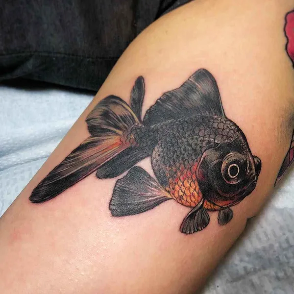 Neo Traditional tattoo by Stephanie Brown in Chicago