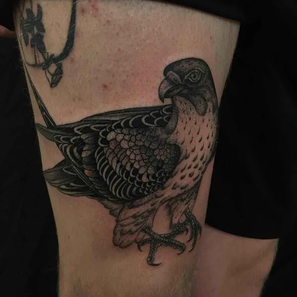 Traditional tattoo by Richard Warnock in Auckland