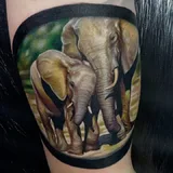 alex_dell_