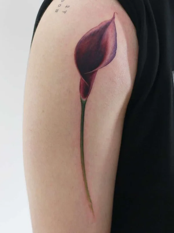 Author's Style tattoo by Doy in Seoul