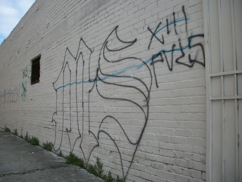 Mara Salvatrucha (MS-13) graffiti on a wall &ndash; one way the gang marks its territory. Photo: Walking the Tracks (CC BY-SA 2.0).