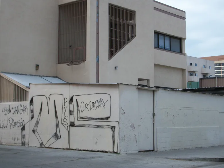 MS-13 gang graffiti mentioning the clique ("PVLS Criminal") on the street. Such tags are used to mark territory and demonstrate the gang's presence. Photo: Walking the Tracks (CC BY-SA 2.0).