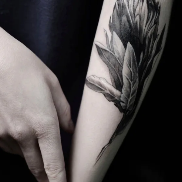 Botanical tattoo by Алиса Третьякова in Saint Petersburg