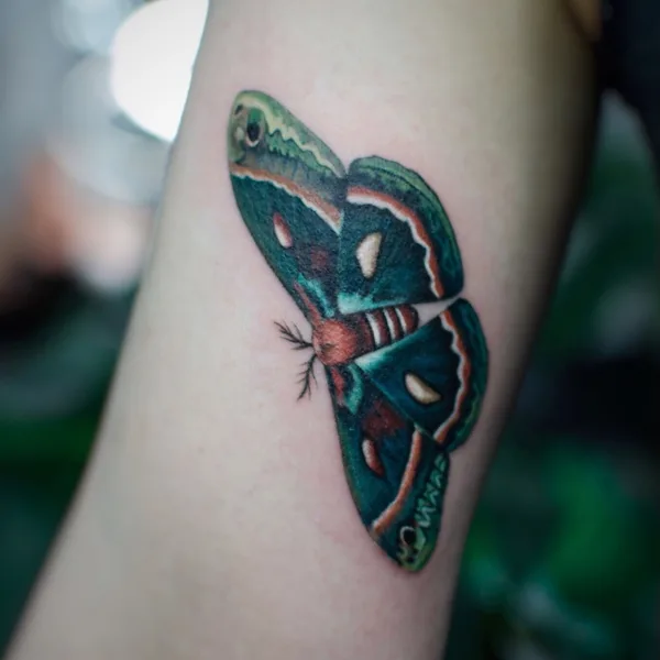 Botanical tattoo by Алиса Третьякова in Saint Petersburg