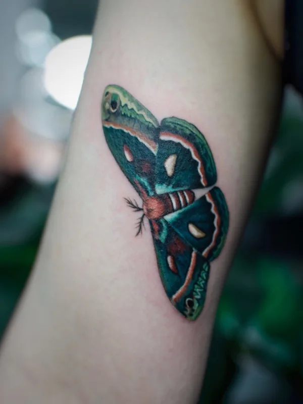 color illustrative tatouage sur outer arm #77870 | Artiste tatoueur Алиса Третьякова