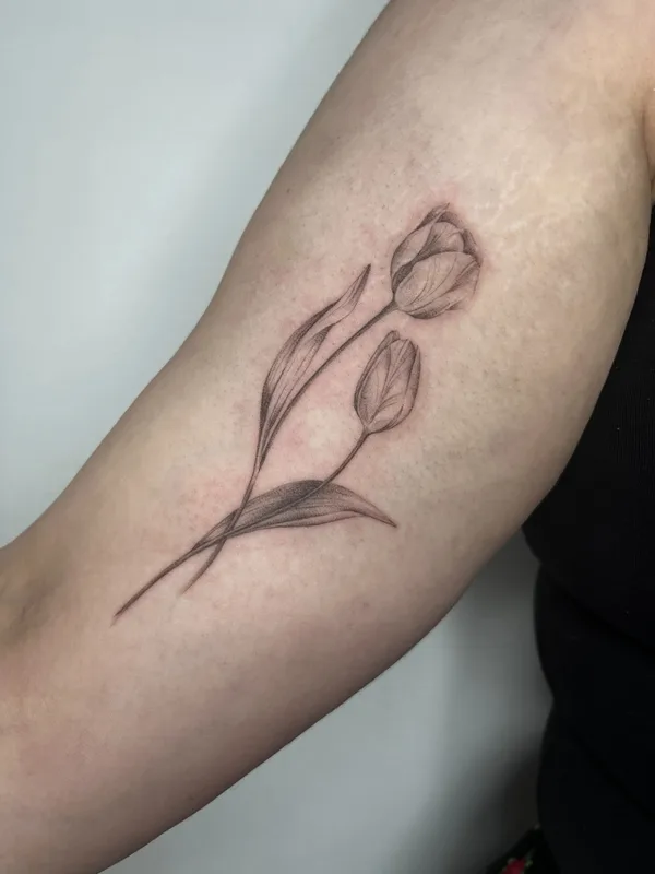 female black and grey fineline tatouage sur upper arm #78091 | Artiste tatoueur Colette Galantay