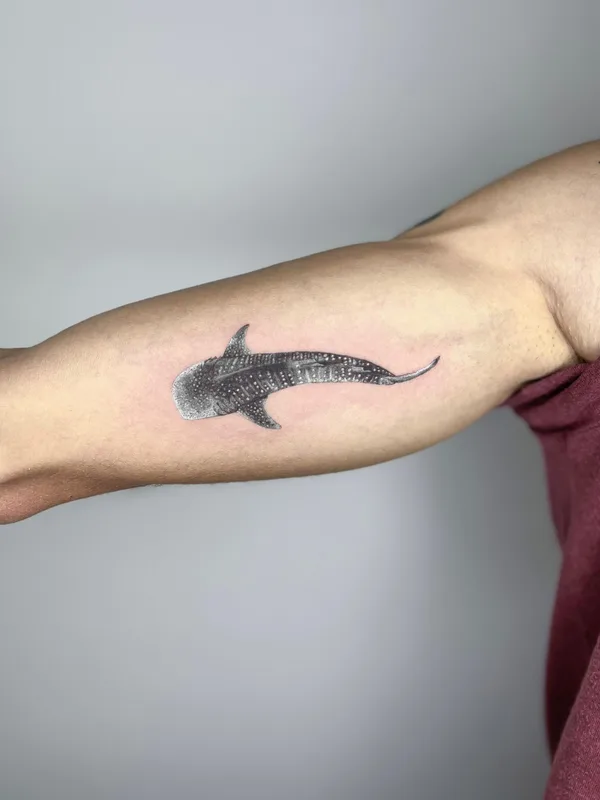 black and grey black and grey 타투 부위 bicep #78428 | 타투이스트 Lau Mestre