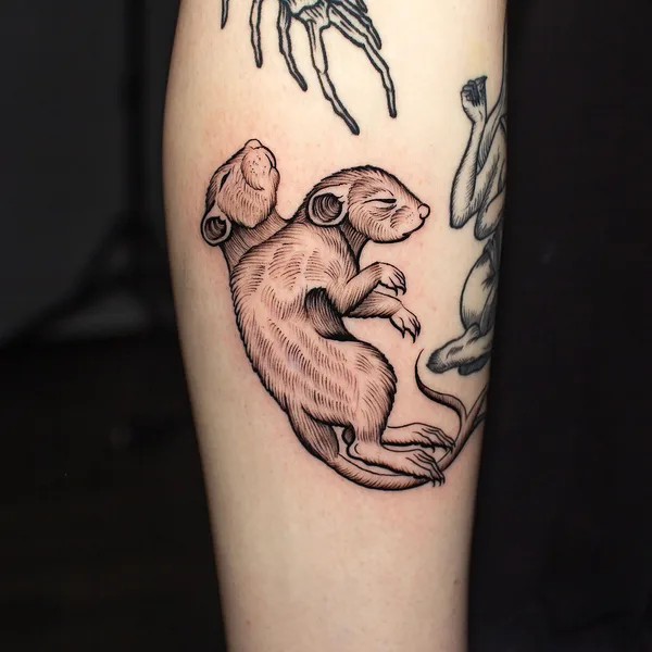 whipshading tattoo by Константин Овсянников in Moscow