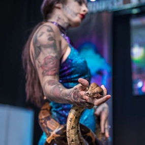 XIII Tattoofest Convention Kraków | 2 день