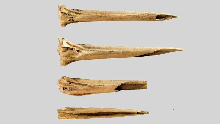 A. DETER-WOLF, T.M. PERES AND S. KARACIC/JOURNAL OF ARCHAEOLOGICAL SCIENCE