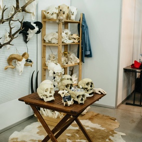 International Moscow Tattoo Week 2018 | 1 день | 14 сентября