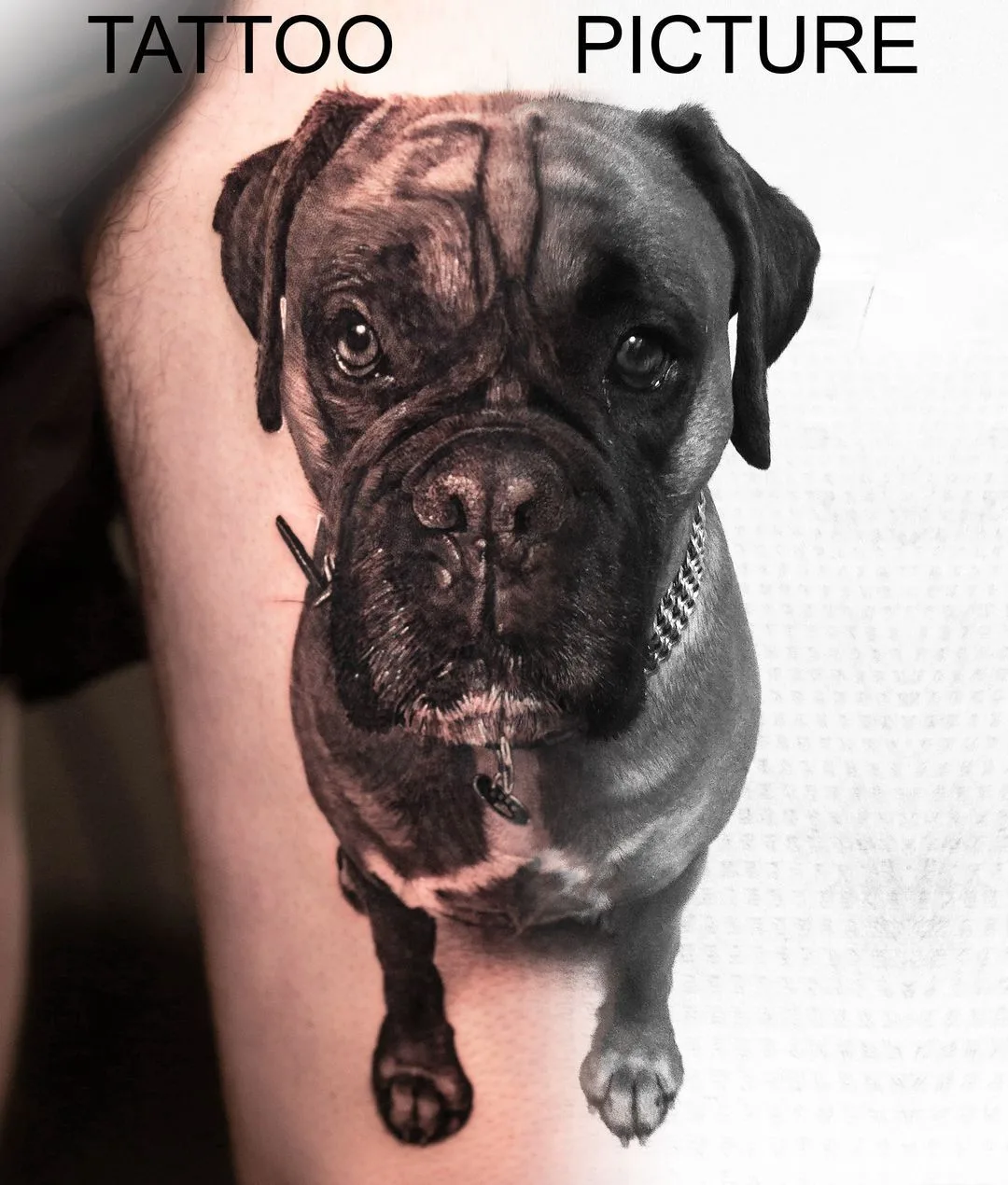 Pets in wonderful tattoos by Angelique Grimm - image 1