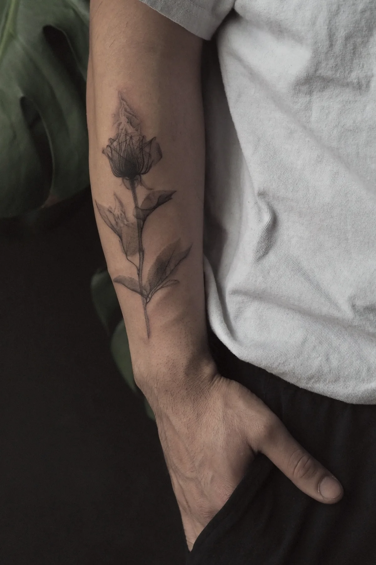Estilo de Tatuagem Botânica com Raio-X e Ornamental de Anastasiia Pakhanova - image 2