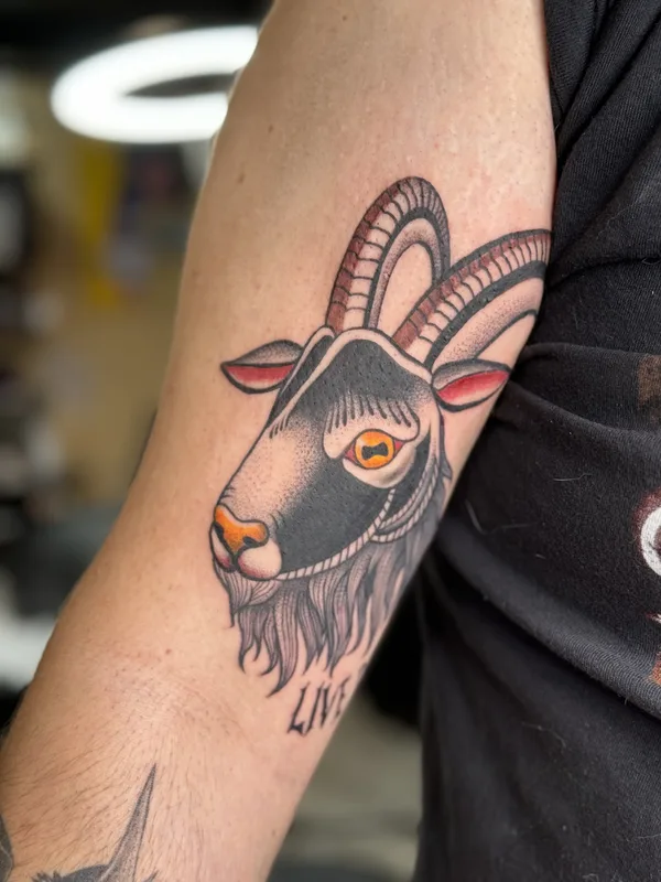 Tatuagem #84191 | Tatuador Hailey Koetitz