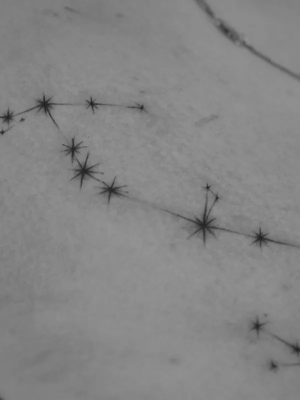 tattoo #84849 | Tattoo Artist Кристина Сухушина