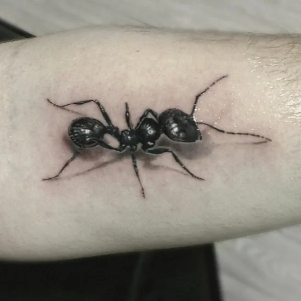Tattoo tattoo by Владимир in Липецк