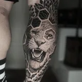 pedrito.ink