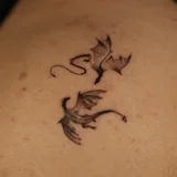 dodo