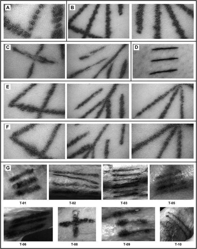 Comparison of tattoos on Riday (A-F) to tattoos on &Ouml;tzi (G). (Deter-Wolf et al., Eur. J. Archaeol. , 2024)