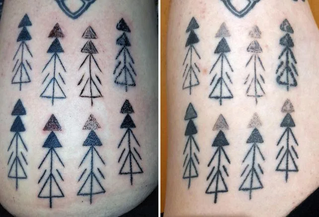 Tattoos on Riday's leg the day they were made (left) and six months later (right). (Deter-Wolf et al., Exarc , 2022)