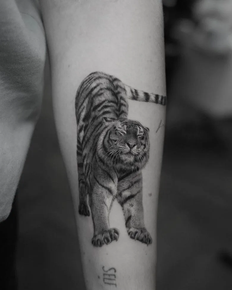 Tattoo srtist Ben Microrealism tiger